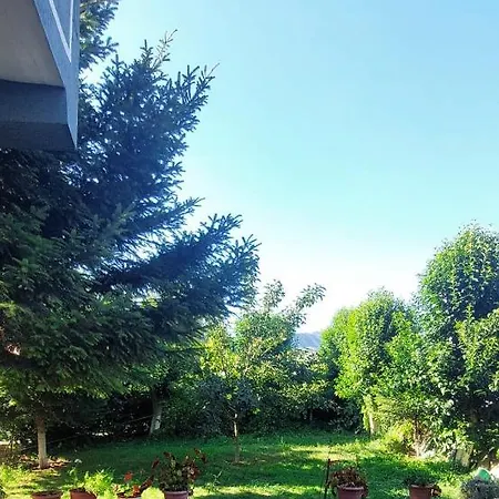 Wild River Pensión Përmet